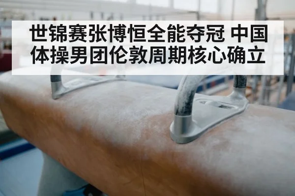 世锦赛张博恒全能夺冠 中国体操男团伦敦周期核心确立